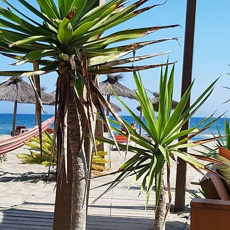 Beau Studio A 1 Minute De La Plage 卡内 外观 照片
