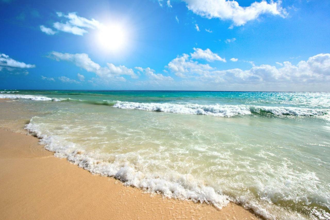 Beau Studio A 1 Minute De La Plage 卡内 外观 照片