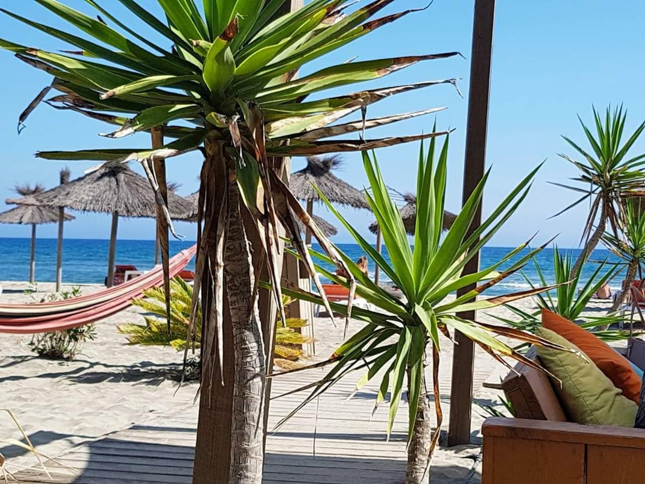 Beau Studio A 1 Minute De La Plage 卡内 外观 照片
